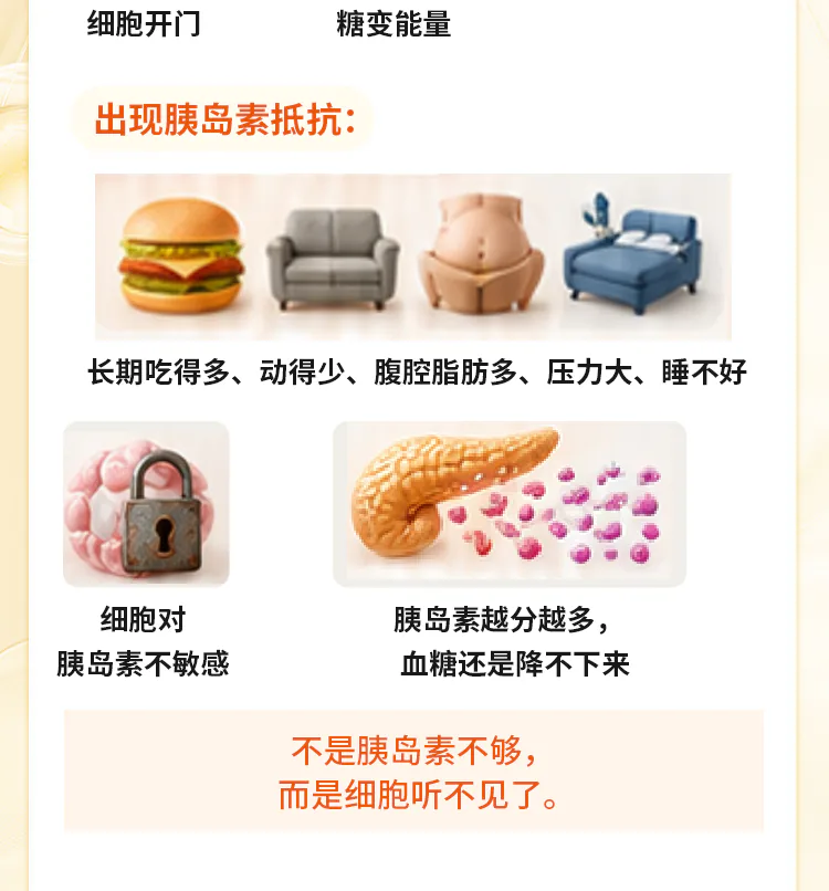 第07讲课程原图第3/10段:细胞不敏感与胰岛素抵抗