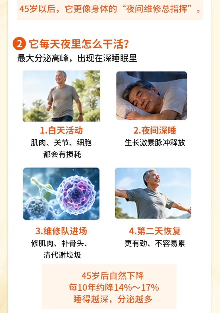 第08讲课程原图第2/7段：夜间修复流程与年龄变化