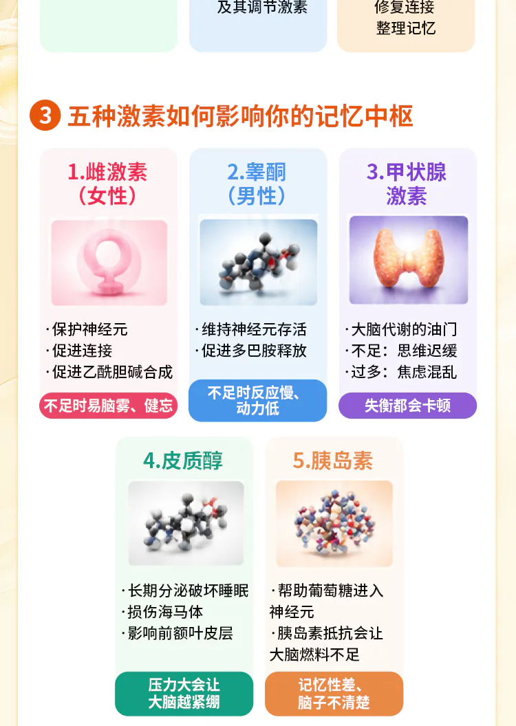第09讲课程原图第3/7段:五种激素与记忆的关系