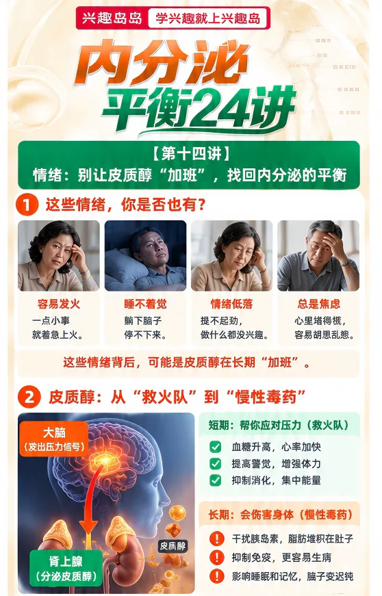 第15讲课程原图第1/5段：情绪信号与皮质醇短期长期作用