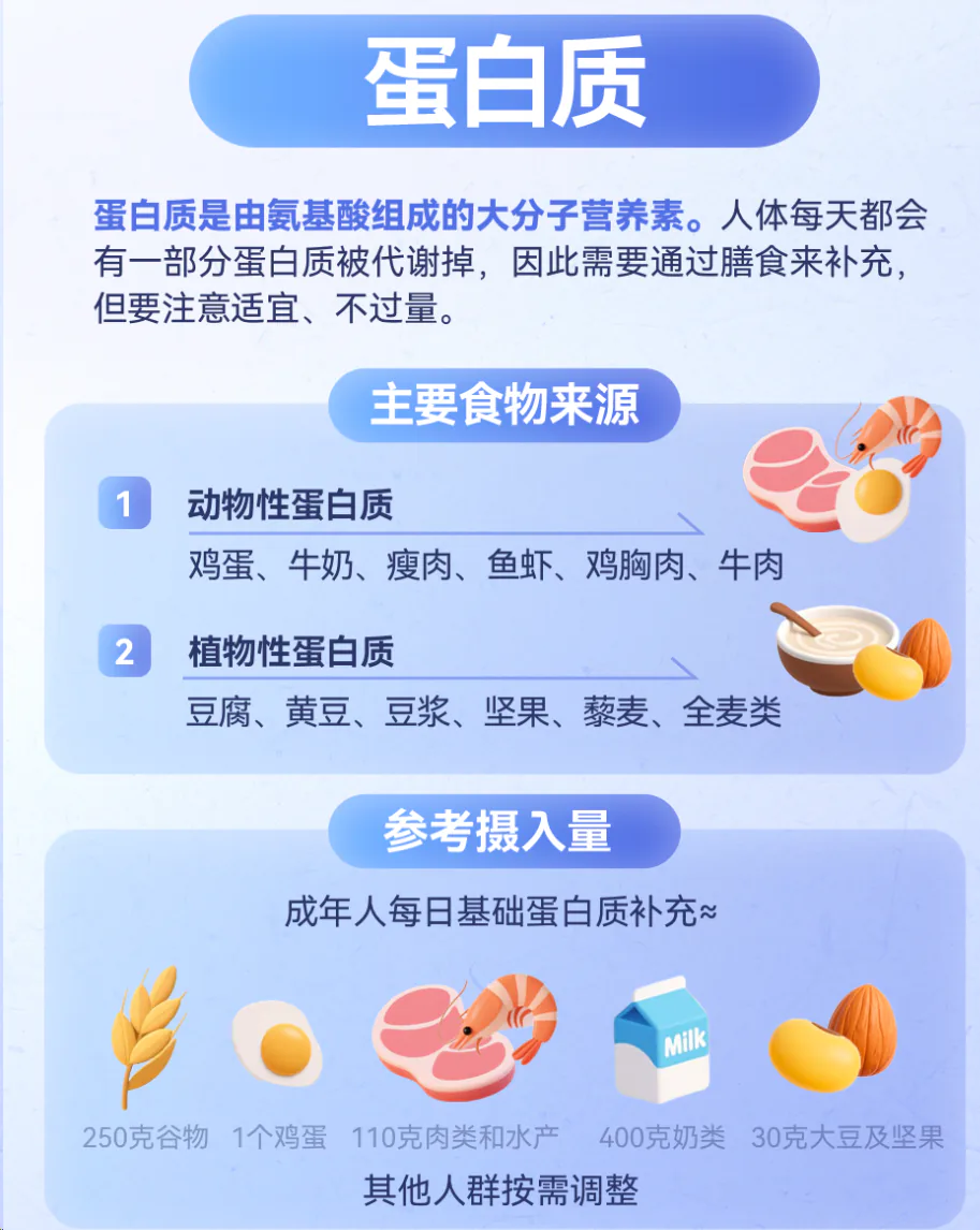 蛋白质主要食物来源与成人每日基础蛋白质参考摄入量知识卡片
