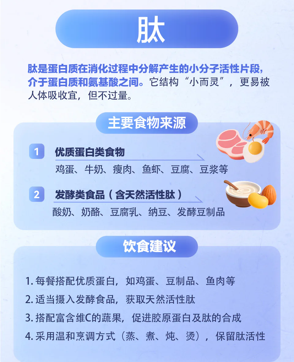 肽的主要食物来源与饮食建议知识卡片