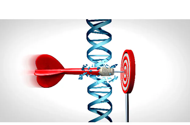 分子靶向治疗的DNA与箭靶示意图