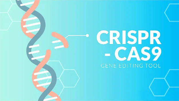 课程原图：CRISPR-Cas9基因编辑工具示意