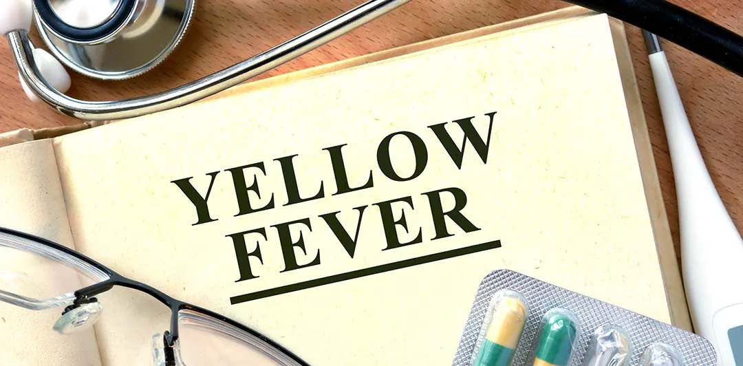 原课程讲首配图：写有 YELLOW FEVER 的纸张与医疗用品