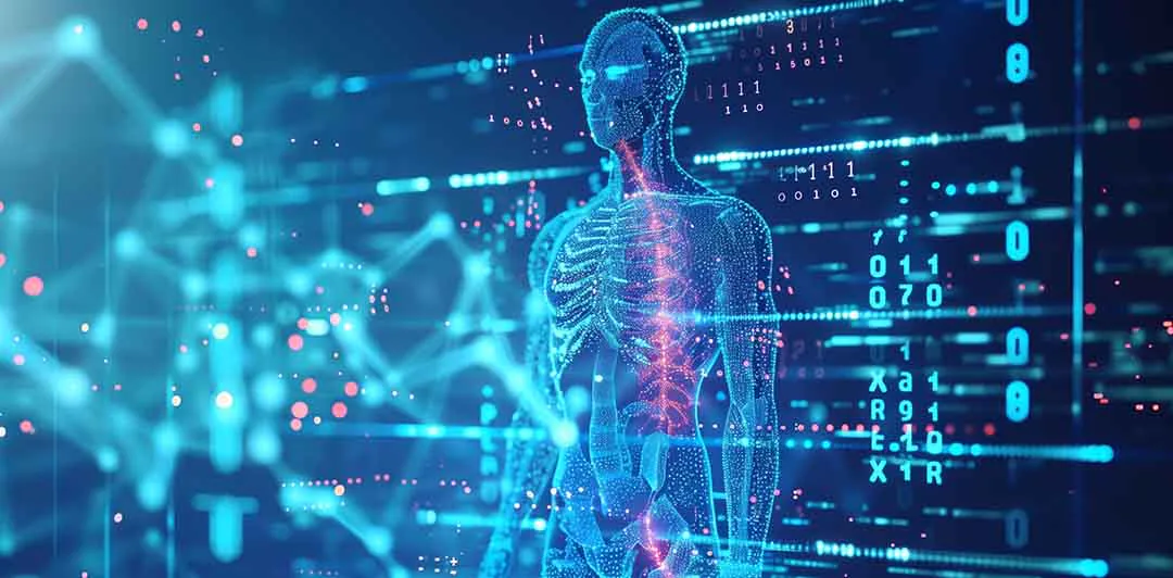 原课程讲首配图：数字化人体骨骼与解剖示意