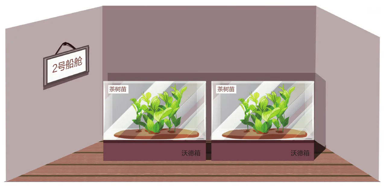 沃德箱图：船舱内两个封闭玻璃箱栽种茶树苗，原图标有2号船舱、茶树苗和沃德箱