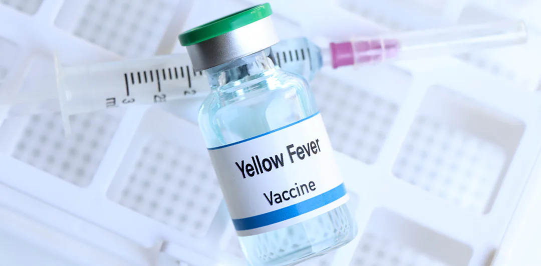 原课程讲首配图:标有 Yellow Fever Vaccine 的疫苗瓶与注射器