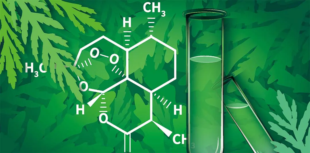 原课程讲首图片：青蒿背景中的化学结构与实验试管