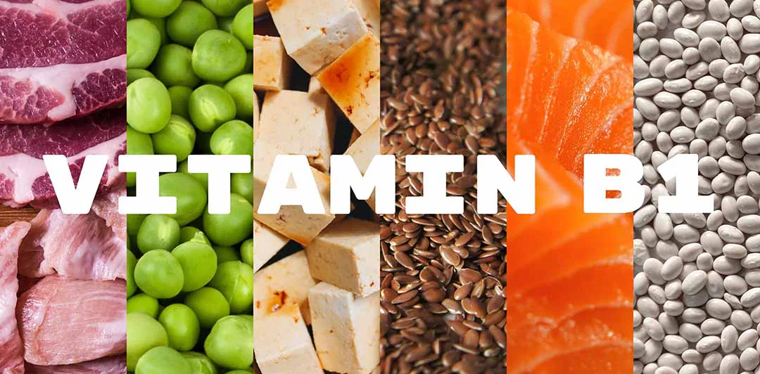原课程讲首图片：VITAMIN B1字样与肉类、豆类等食物拼图