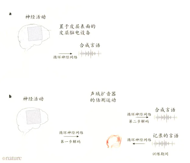 原文双流程图：神经活动、皮层脑电设备、循环神经网络与合成言语；训练期间记录言语及声域扩音器的估测运动