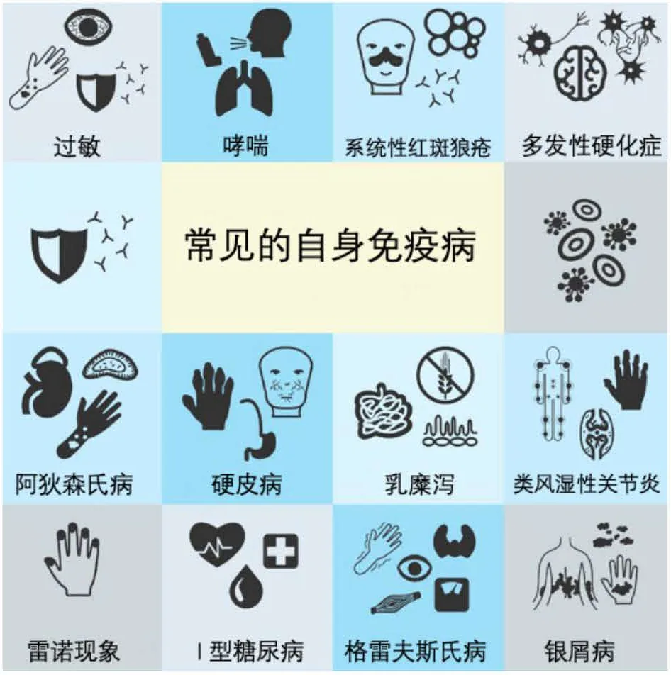 常见的自身免疫病原图，完整保留疾病名称与图示对应关系