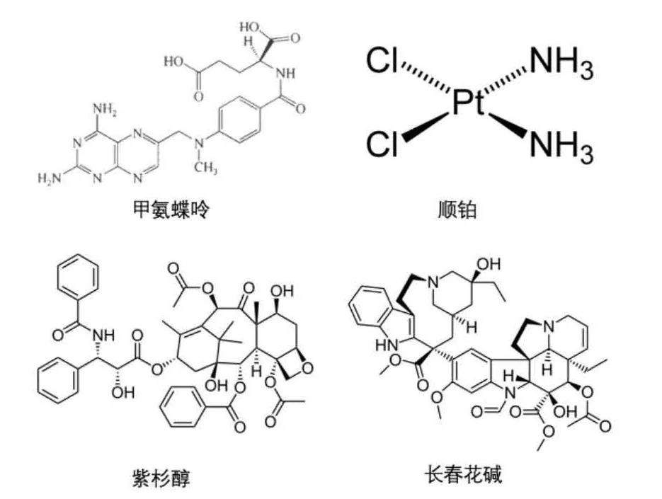 四种常用的化疗药物：甲氨蝶呤、顺铂、紫杉醇和长春花碱