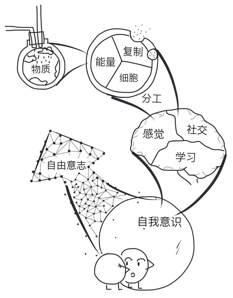 组成生命的10大元素