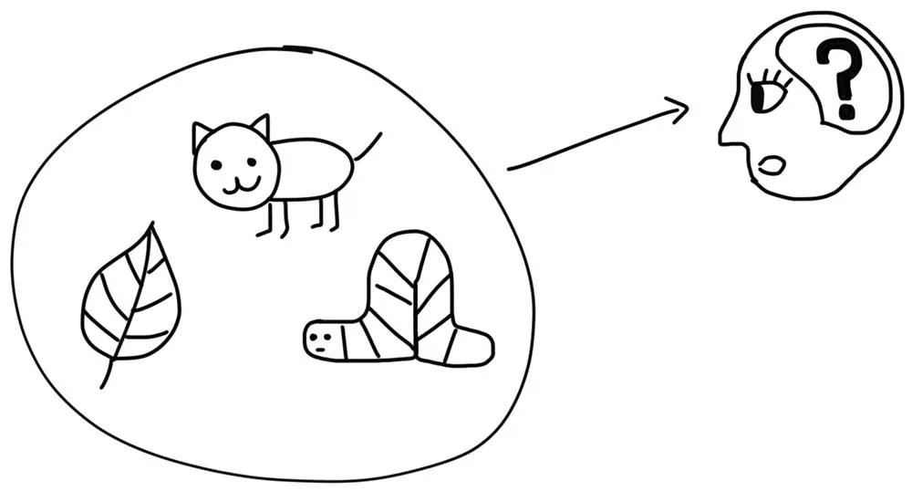 从不同生命现象中寻找共同规律的生物学思维示意