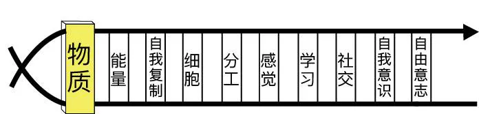 生命科学十元素路线：当前为物质