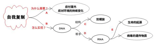 自我复制章节结构图：环境适应、DNA双螺旋、RNA及生命起源
