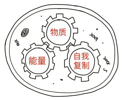 细胞内物质、能量、自我复制相互协作的齿轮图