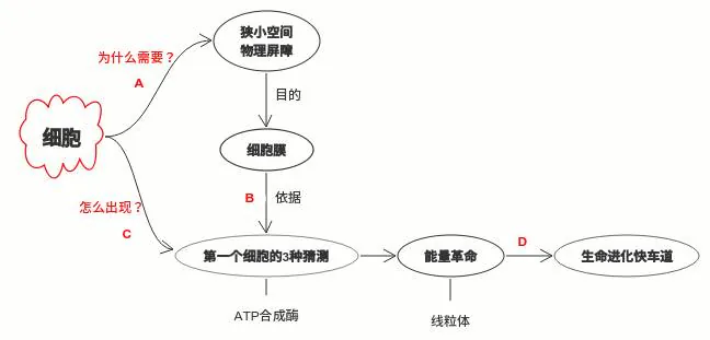 细胞章节结构图：物理屏障、细胞膜、起源猜测与线粒体能量革命