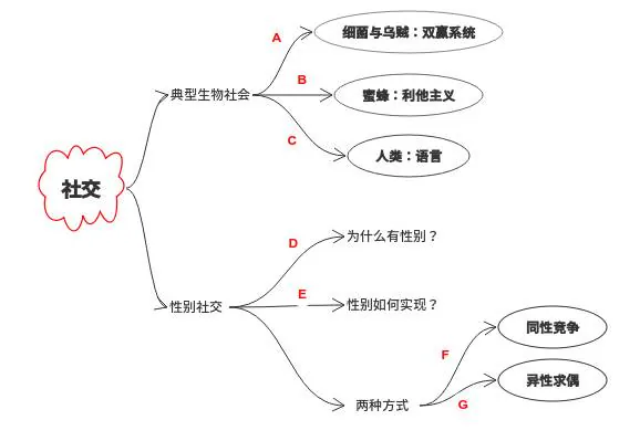 社交模块回顾：共生、利他、语言和性别社交