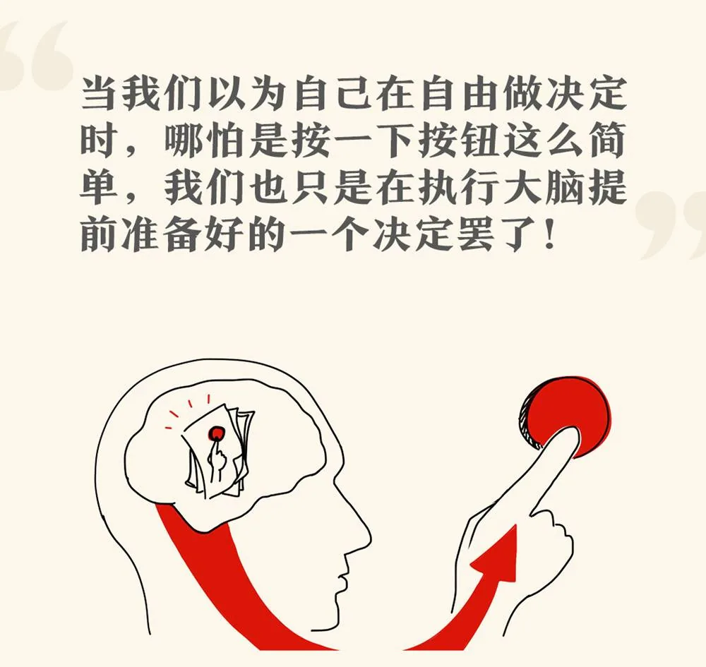 大脑提前准备决定后身体执行动作的示意
