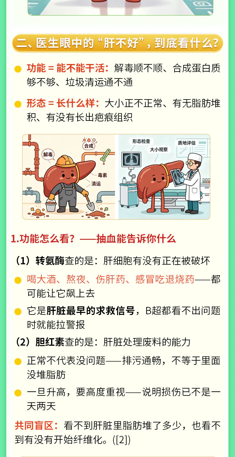 第01讲课程原图第2/5段：肝脏功能、形态与体检建议