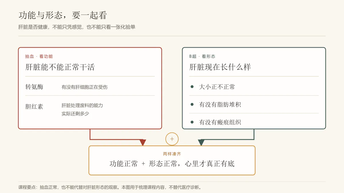 肝脏健康判断图解：功能与形态要一起看