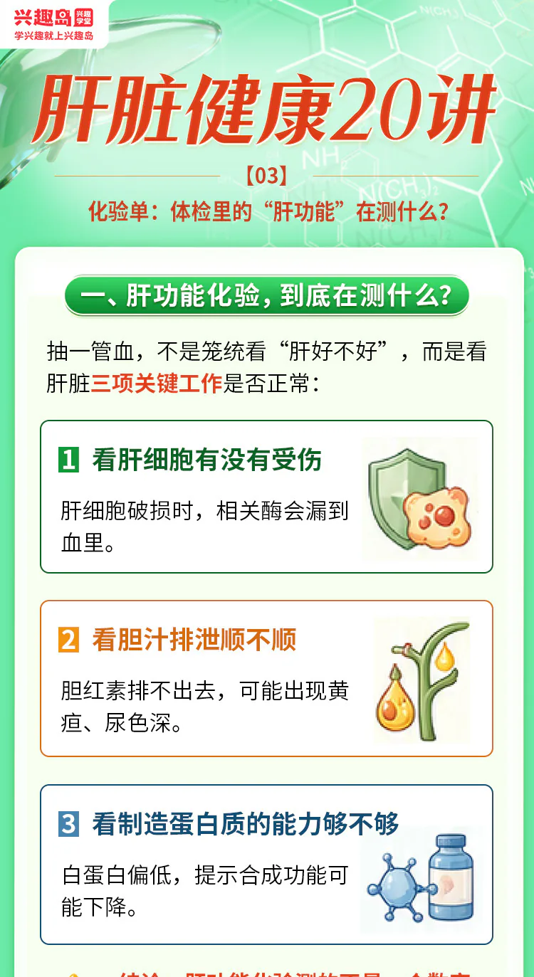 第03讲课程原图第1/8段:肝功能三类指标与分层行动