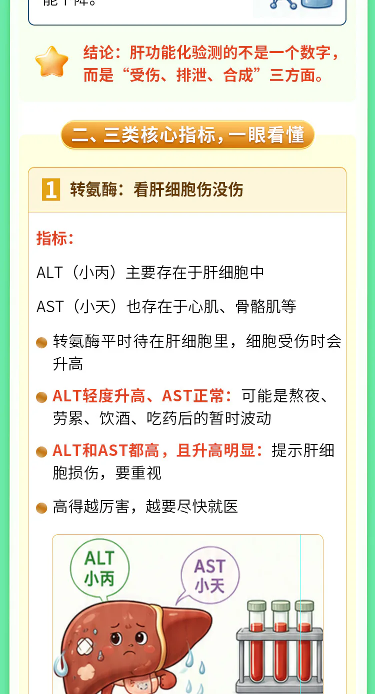 第03讲课程原图第2/8段:肝功能三类指标与分层行动