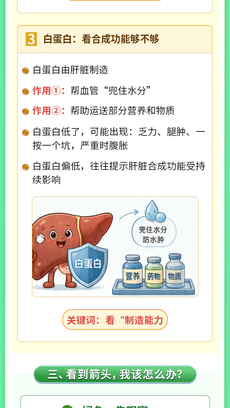 第03讲课程原图第4/8段:肝功能三类指标与分层行动