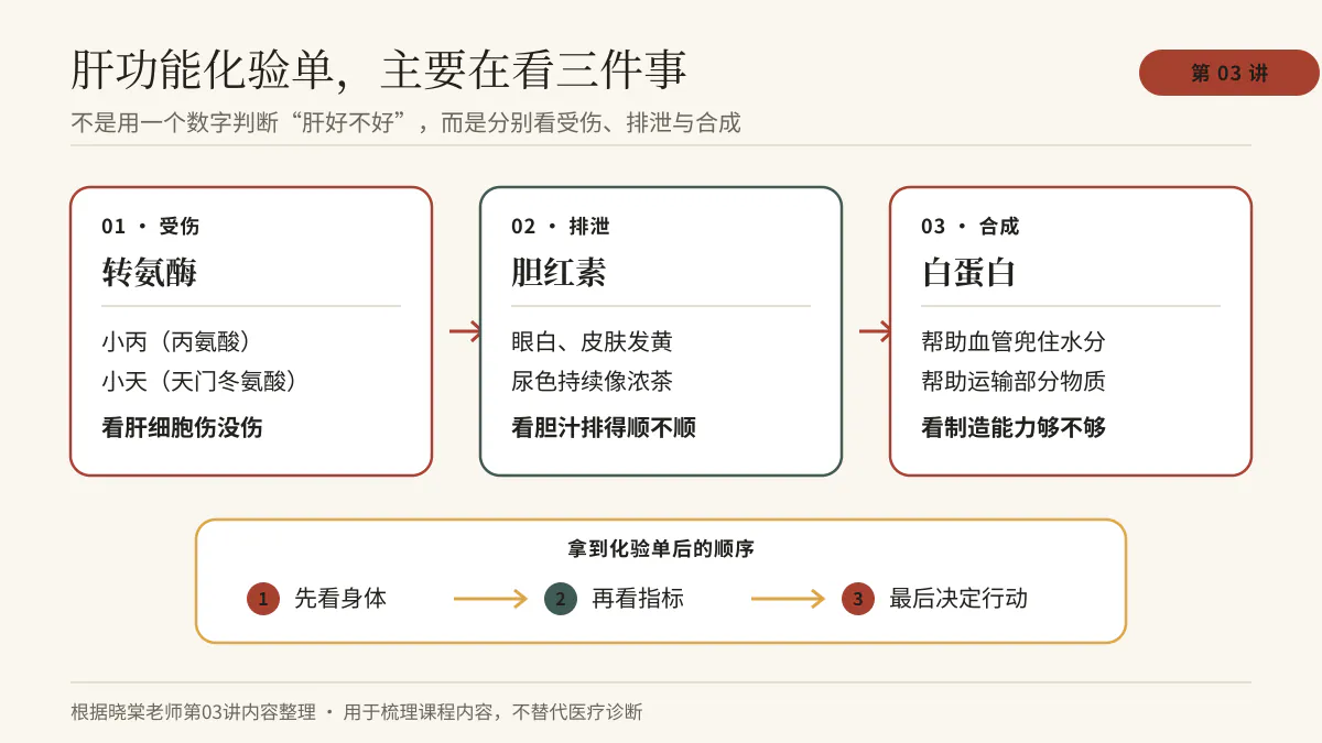 肝功能化验单三类指标与三步查看顺序图解