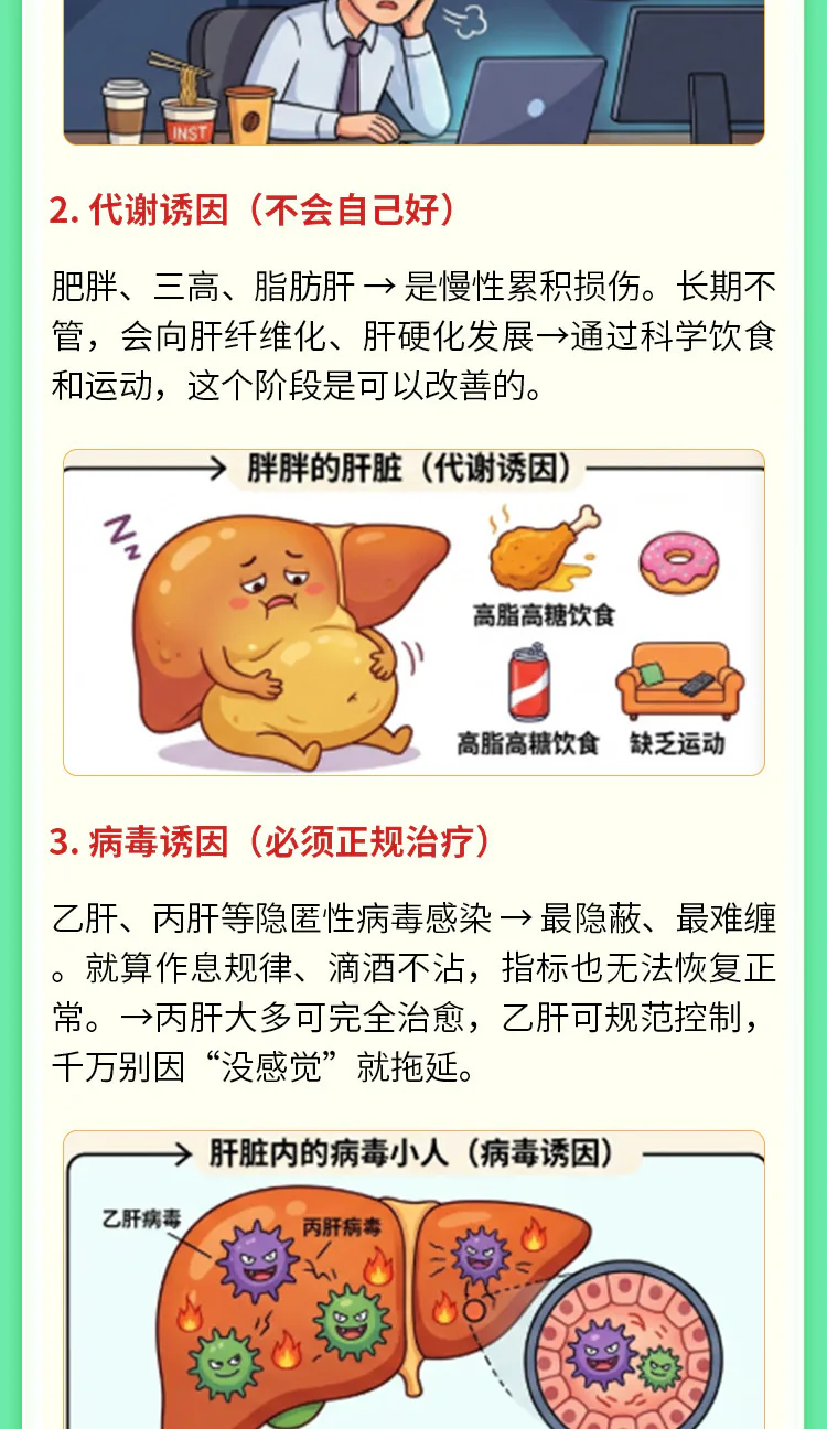 第04讲课程原图第3/8段:肝功能异常常见诱因、药物保健品风险与五点总结