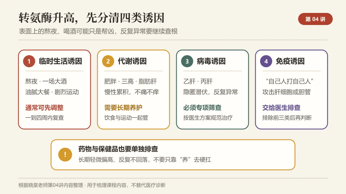 转氨酶升高的四类常见诱因与药物保健品提醒图解