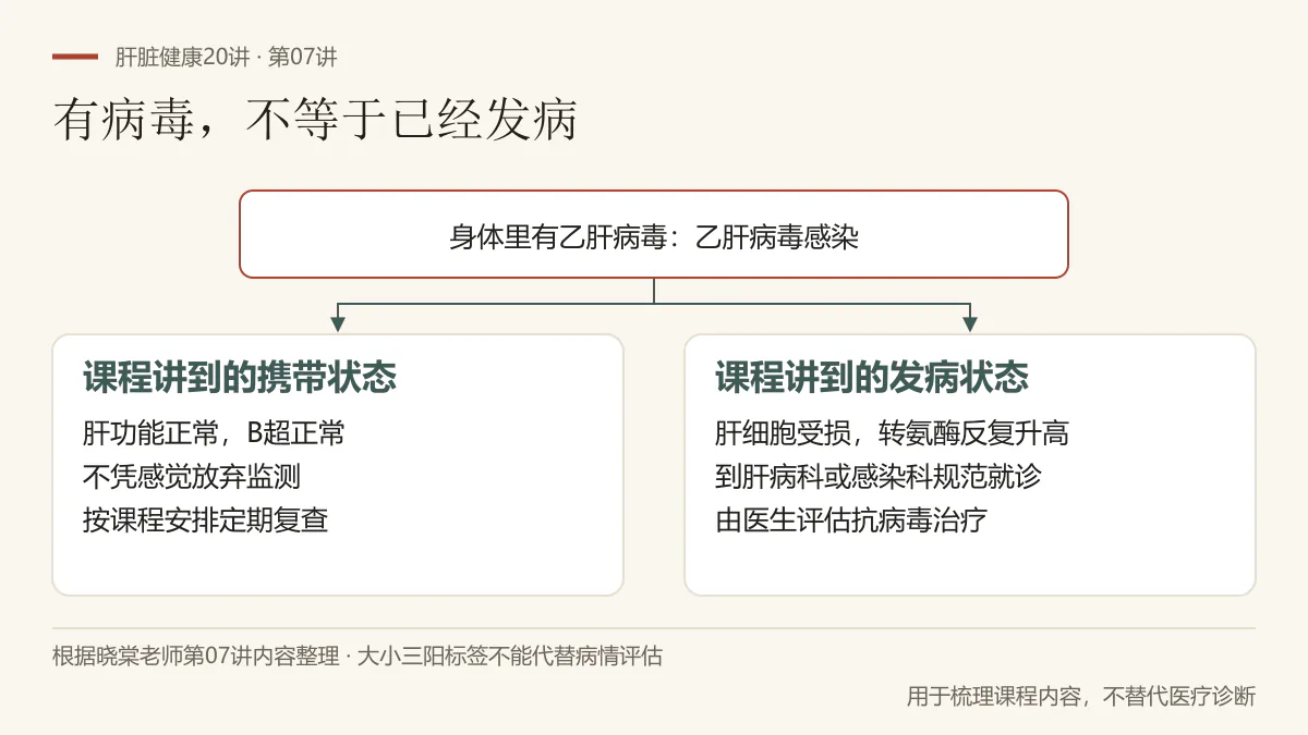 根据第07讲整理的概念图：乙肝病毒感染不等于已经发病，携带状态与肝细胞受损的发病状态不同，检查和治疗应由医生评估