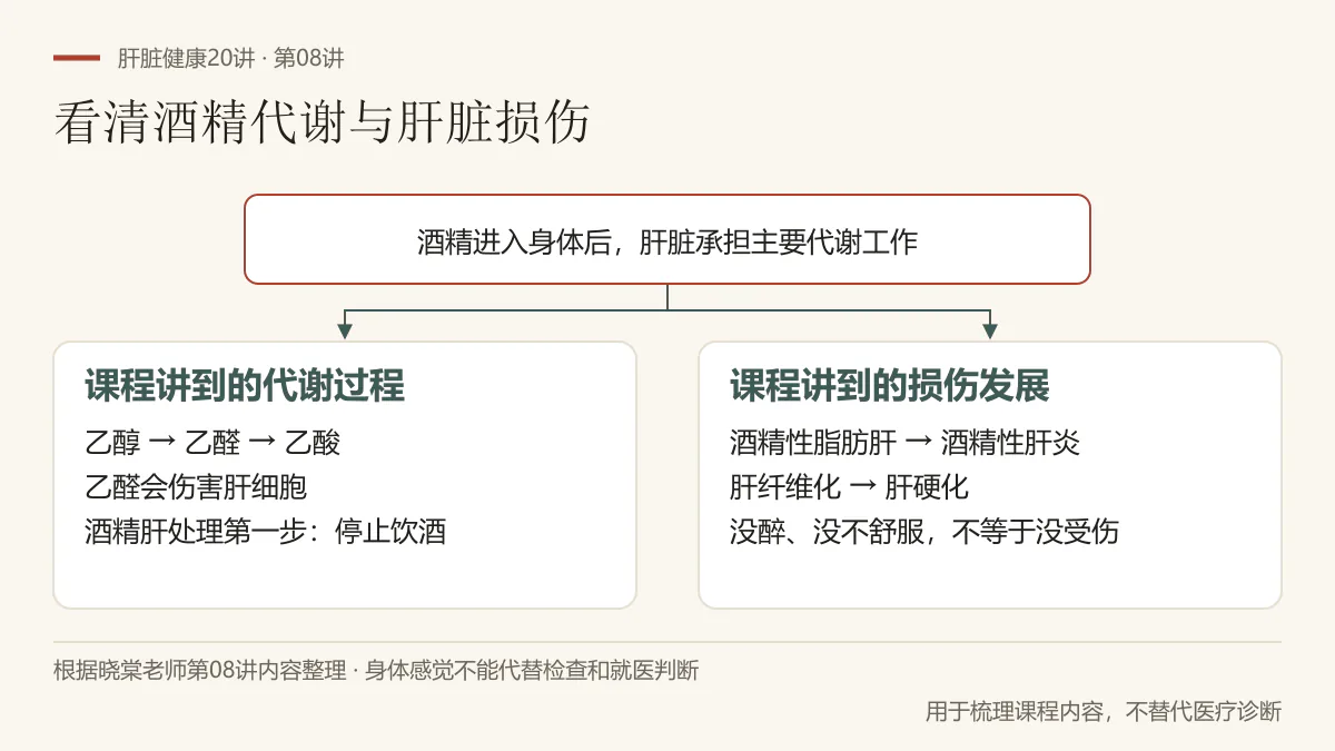 根据第08讲整理：左侧乙醇经乙醛到乙酸的代谢过程，右侧课程讲到的四个肝损伤阶段，酒精肝处理从停止饮酒开始