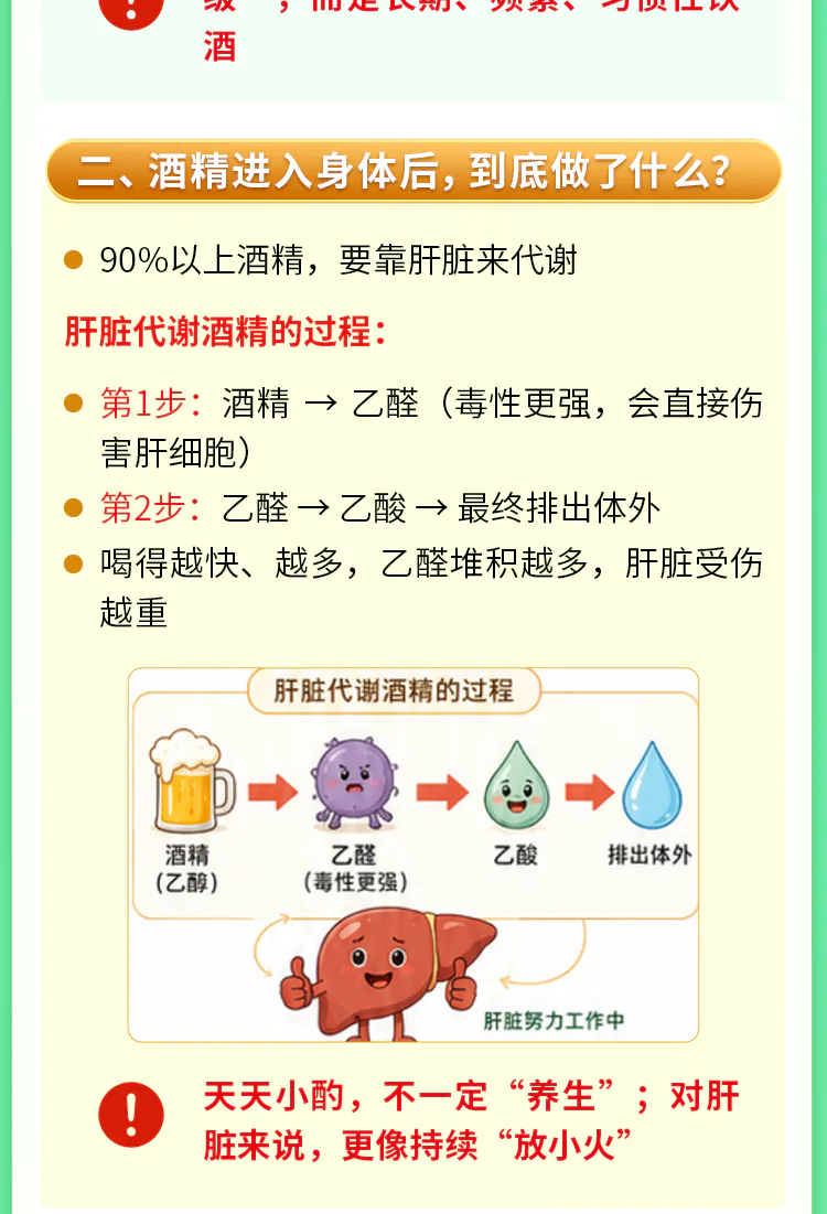 第08讲课程原图第2/7段：肝脏代谢酒精的两步与乙醛示意