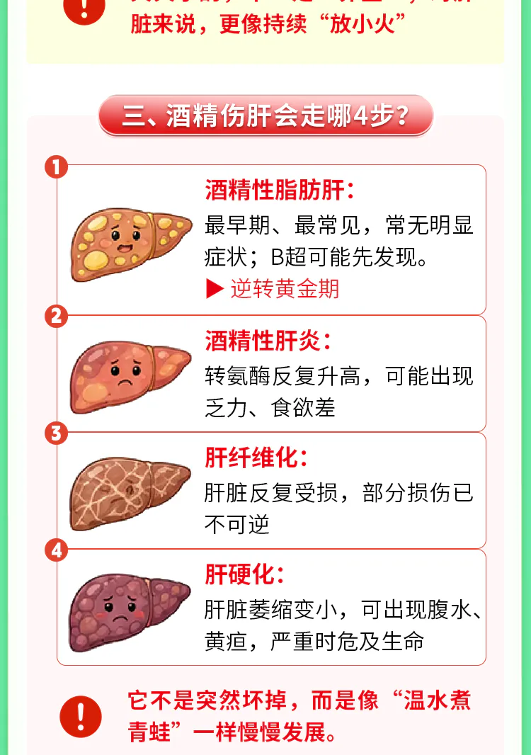 第08讲课程原图第3/7段：酒精损伤的四个阶段
