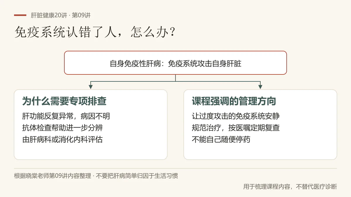 根据第09讲整理：自身免疫系统攻击肝脏时，需要专项检查和专科评估，并按医嘱规范治疗、定期复查，不自行停药