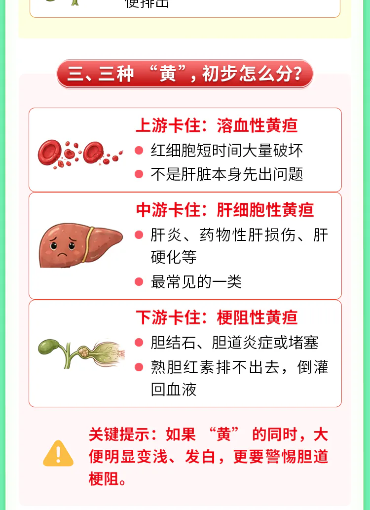 第10讲课程原图第3/8段:三种黄疸与大便颜色提示