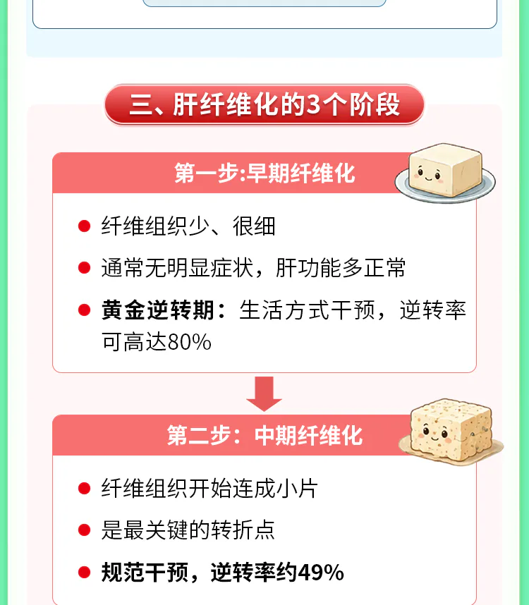 第13讲课程原图第4/10段：早期与中期的纤维化及课程研究数字