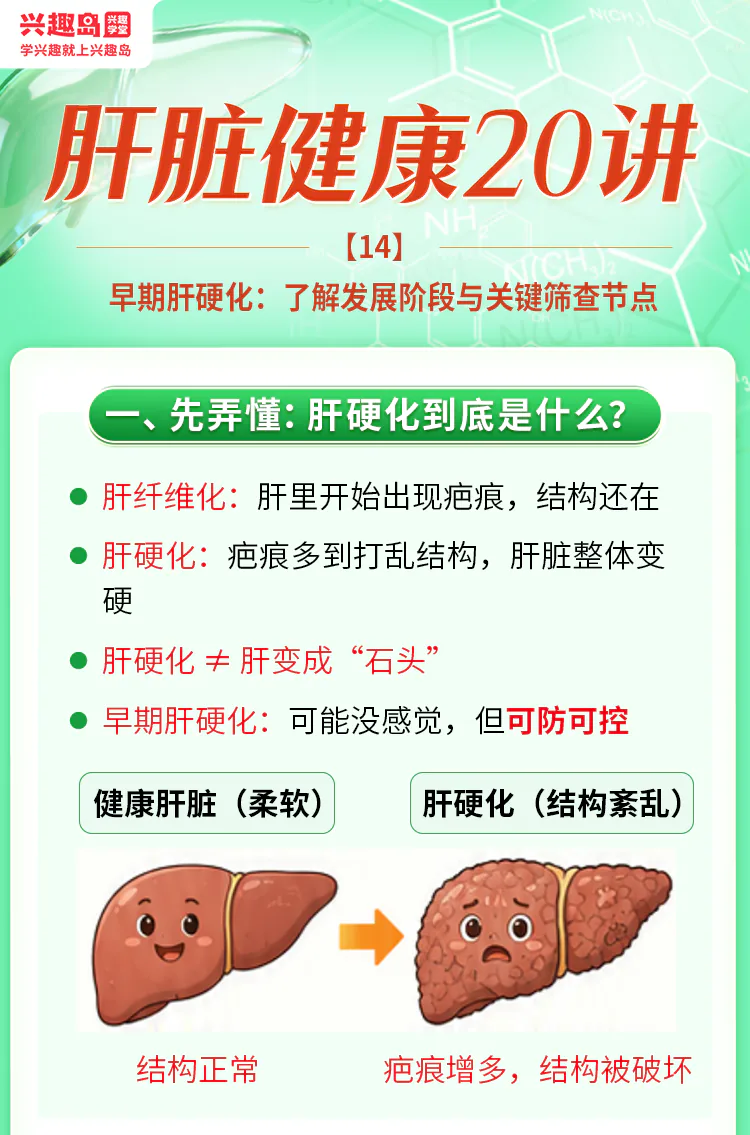 第14讲课程原图第1/11段:肝硬化不等于肝脏变成石头