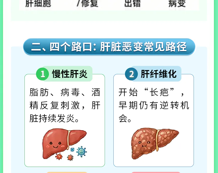 第15讲课程原图第2/13段:四个路口前两项:慢性肝炎与纤维化