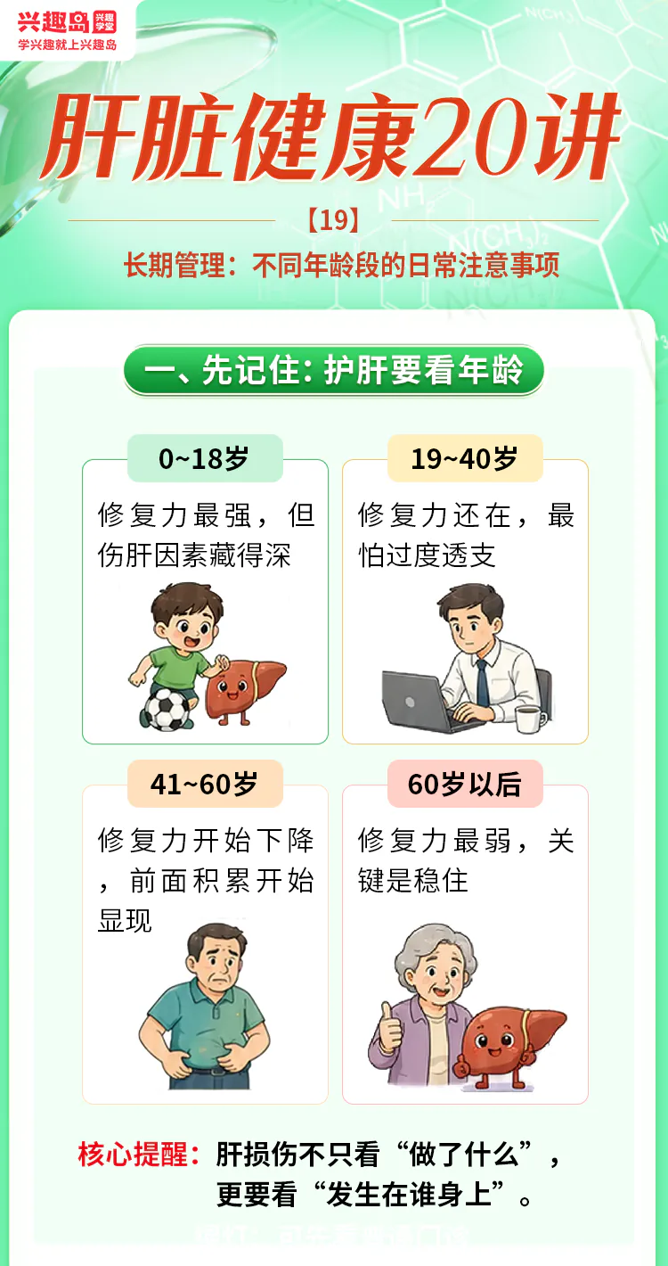 第19讲课程原图第1/9段:四个年龄段的肝脏修复力总览