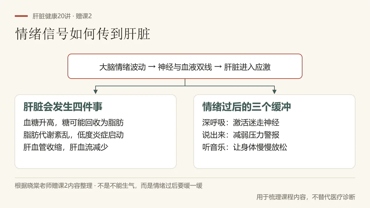根据赠课2整理:情绪信号通过神经和血液两条线路让肝脏进入应激,可用深呼吸、说出来和听音乐三个动作帮助身体缓冲