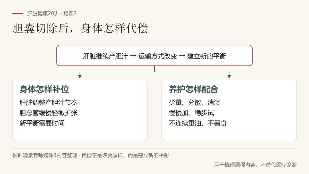 根据赠课3整理:胆囊切除后肝脏继续产胆汁,肝脏调整节奏、胆总管轻微扩张,养护需少量分散并尊重代偿边界