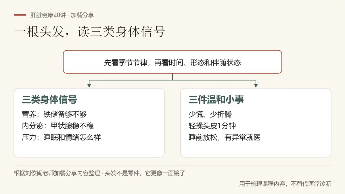 根据刘佼闽老师加餐分享整理:先分辨季节性掉发,再从营养、内分泌和压力三类信号理解身体状态