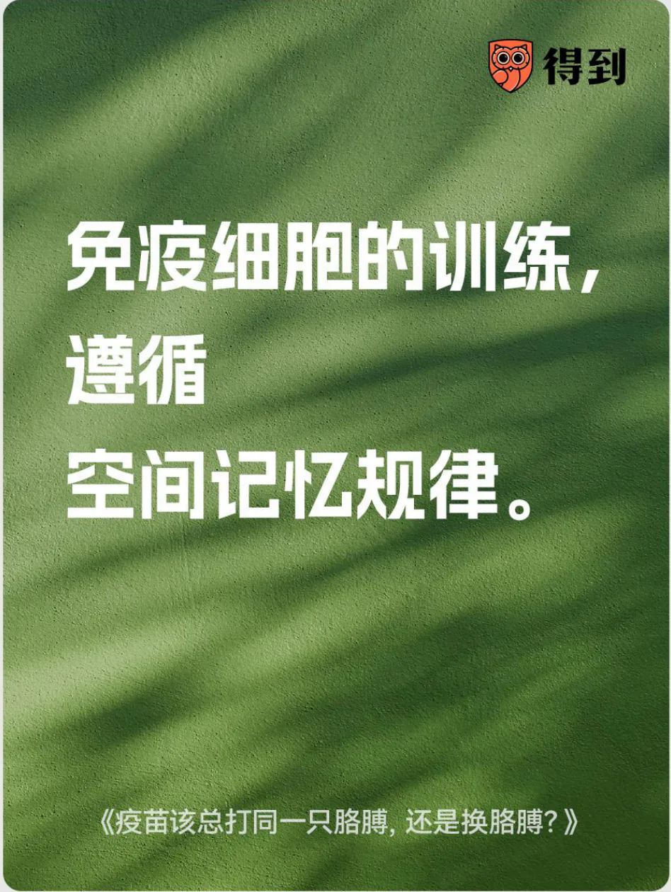 知识卡片：免疫细胞的训练遵循空间记忆规律。