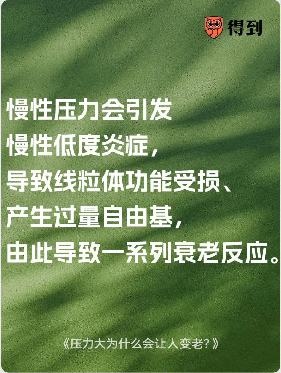 知识卡片：慢性压力、炎症、线粒体损伤与衰老反应的链条。