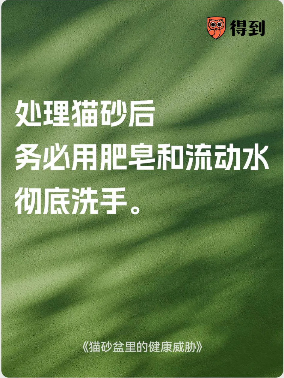 知识卡片：处理猫砂后用肥皂和流动水彻底洗手。