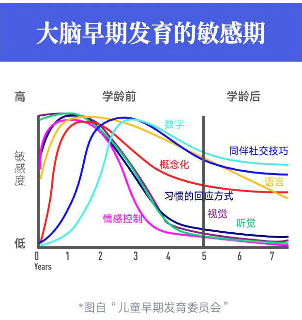 大脑早期发育的敏感期:不同年龄的视听、情感、语言、概念、社交、数字和习惯敏感度曲线,原图署名儿童早期发育委员会